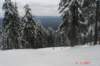 dsc01693_small.jpg